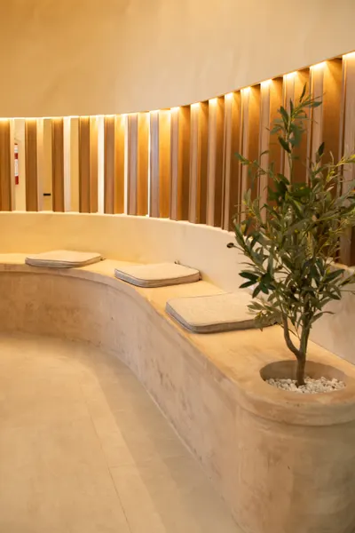 Allure Dental waiting room with a curved travertine bench, slatted wood feature wall, and an olive tree