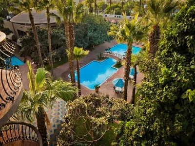 Aerial view over the Hotel Lucerna Tijuana palm gardens and pools